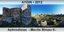 AYDIN Aphrodisias  Meclis Binas II