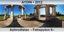 AYDIN Aphrodisias  Tetrapylon II