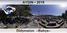 AYDIN Didymaion  Bahe