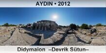 AYDIN Didymaion  Devrik Stun