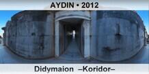 AYDIN Didymaion  Koridor