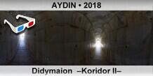 AYDIN Didymaion  Koridor II