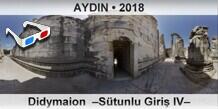 AYDIN Didymaion  Stunlu Giri IV