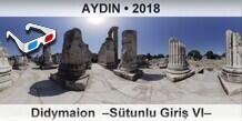 AYDIN Didymaion  Stunlu Giri VI