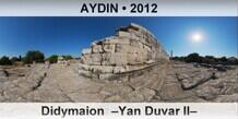 AYDIN Didymaion  Yan Duvar II