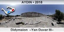 AYDIN Didymaion  Yan Duvar III