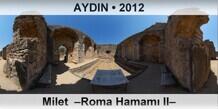 AYDIN Milet  Roma Hamam II
