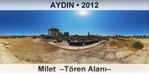 AYDIN Milet  Tren Alan