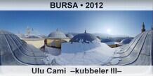 BURSA Ulu Cami  Kubbeler III