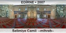 EDRNE Selimiye Camii  Mihrab