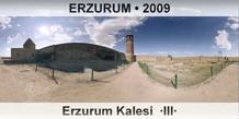 ERZURUM Erzurum Kalesi  III