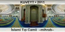 KUVEYT slami Tp Camii  Mihrab