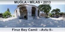 MULA  MLAS Firuz Bey Camii  Avlu II