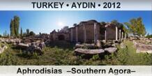 TURKEY • AYDIN Aphrodisias  –Southern Agora–