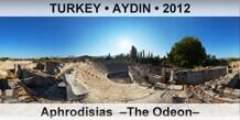 TURKEY • AYDIN Aphrodisias  –The Odeon–