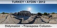 TURKEY • AYDIN Didymaion  –Transpose Column–