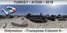 TURKEY • AYDIN Didymaion  –Transpose Column II–