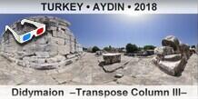 TURKEY • AYDIN Didymaion  –Transpose Column III–
