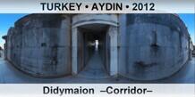 TURKEY • AYDIN Didymaion  –Corridor–
