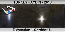 TURKEY • AYDIN Didymaion  –Corridor II–