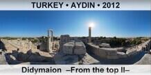 TURKEY • AYDIN Didymaion  –From the top II–