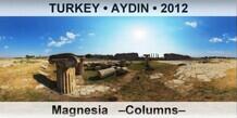 TURKEY • AYDIN Magnesia   –Columns–