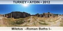 TURKEY • AYDIN Miletus  –Roman Baths I–