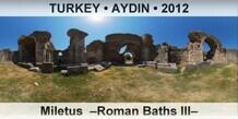 TURKEY • AYDIN Miletus  –Roman Baths III–