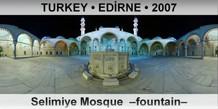 TURKEY • EDİRNE Selimiye Mosque  –Fountain–