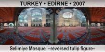 TURKEY • EDİRNE Selimiye Mosque  –Reversed tulip figure–