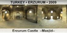 TURKEY • ERZURUM Erzurum Castle  –Masjid–