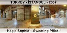 TURKEY • İSTANBUL Hagia Sophia  –Sweating Pillar–