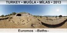 TURKEY • MUĞLA • MİLAS Euromos  –Baths–