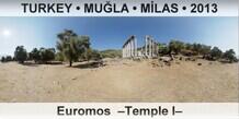 TURKEY • MUĞLA • MİLAS Euromos  –Temple I–