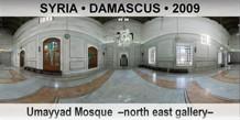 SYRIA • DAMASCUS Umayyad Mosque  –North east gallery–