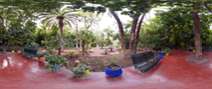 Virtual Tour: Jardin Majorelle