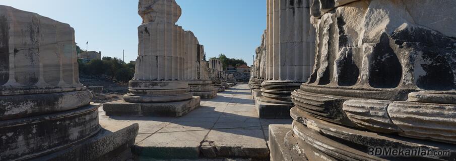 Didymaion