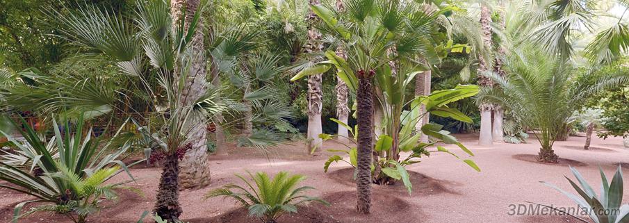 Jardin Majorelle