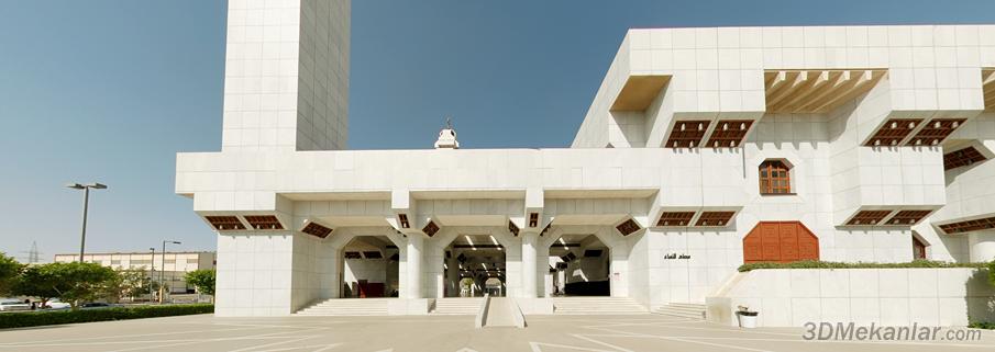 ���� �������