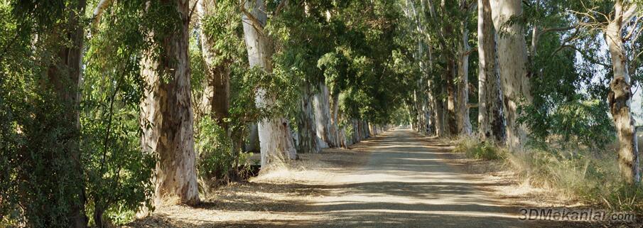 Akyaka Avenue