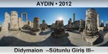AYDIN Didymaion  –Sütunlu Giriş III–