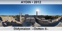 AYDIN Didymaion  –Üstten II–