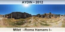 AYDIN Milet  –Roma Hamamı I–
