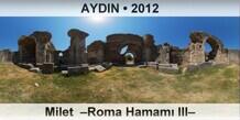 AYDIN Milet  –Roma Hamamı III–