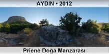 AYDIN Priene Doa Manzaras