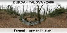 BURSA  YALOVA Termal Ormanlk Alan