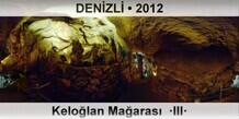 DENZL Kelolan Maaras  III