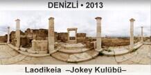 DENZL Laodikeia  Jokey Kulb