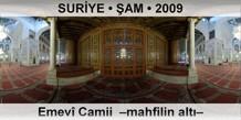 SURYE  AM Emev Camii  Mahfilin alt