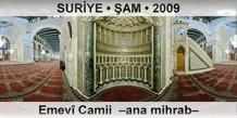 SURYE  AM Emev Camii  Ana mihrab
